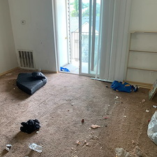Apartment-Junk-and-Carpet-Removal-in-Pullman-Washington 5
