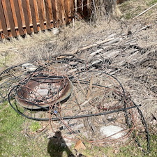 Backyard-Clean-Up-in-Pullman 0