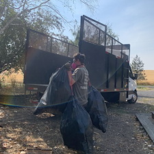 Biohazard-Shed-Cleanout-Junk-Removal-in-Pullman-WA 2