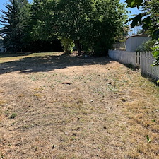 Tenant-Junk-Removal-in-Pullman 0