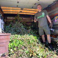 Tree-Branch-and-Brush-Removal-In-Pullman 0