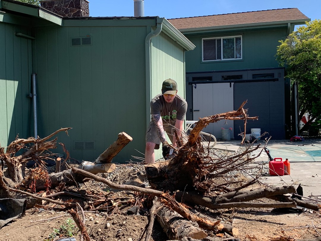 Tree Stump Demolition and Couch Removal in Clarkston