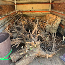 Tree-Stump-Demolition-and-Couch-Removal-in-Clarkston 1